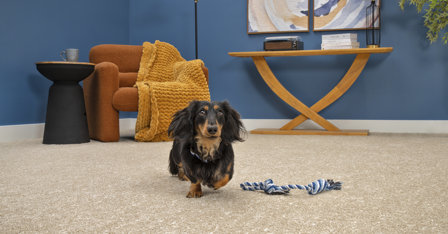 pet friendly flooring