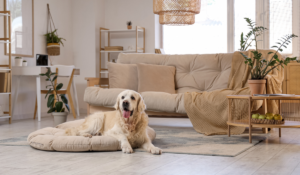pet flooring guide
